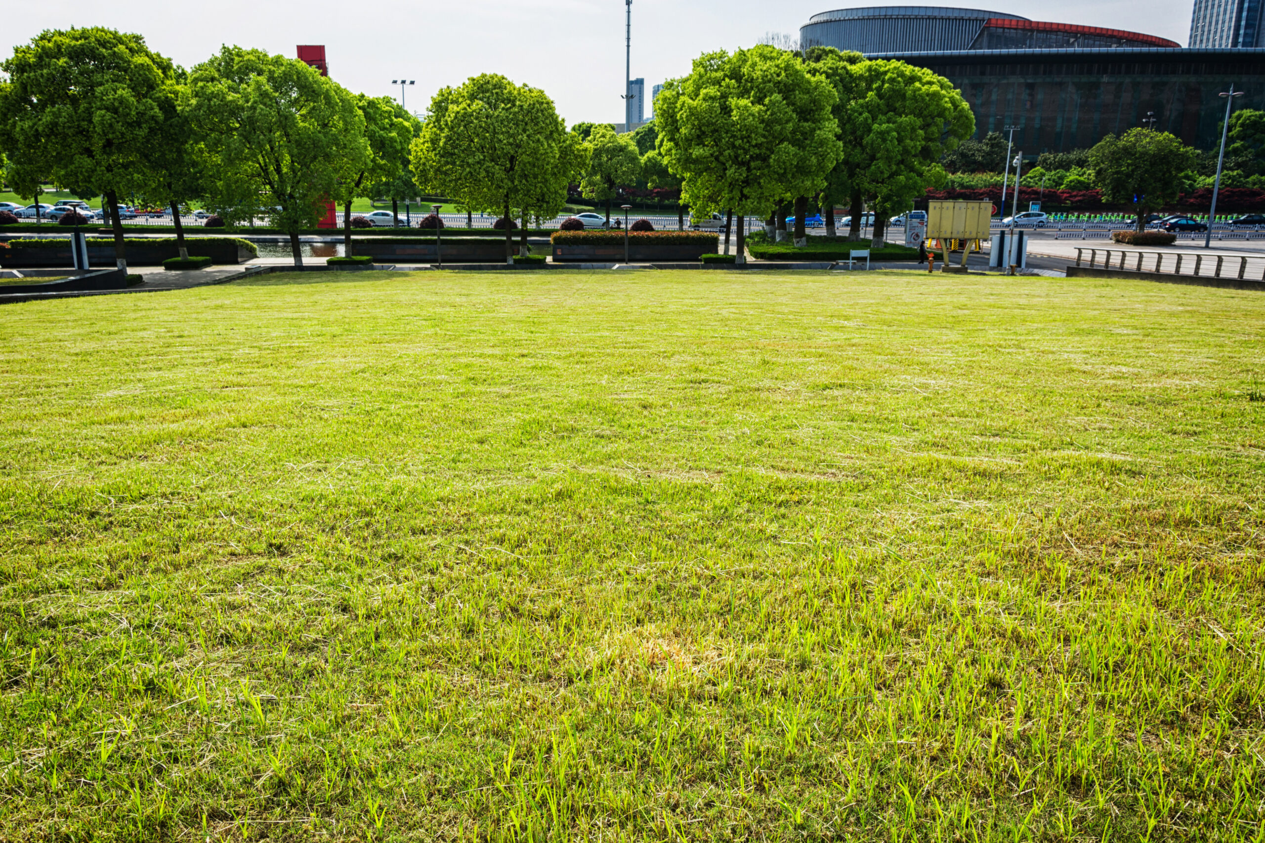 How Synthetic Grass Turf Changed Modern Landscaping