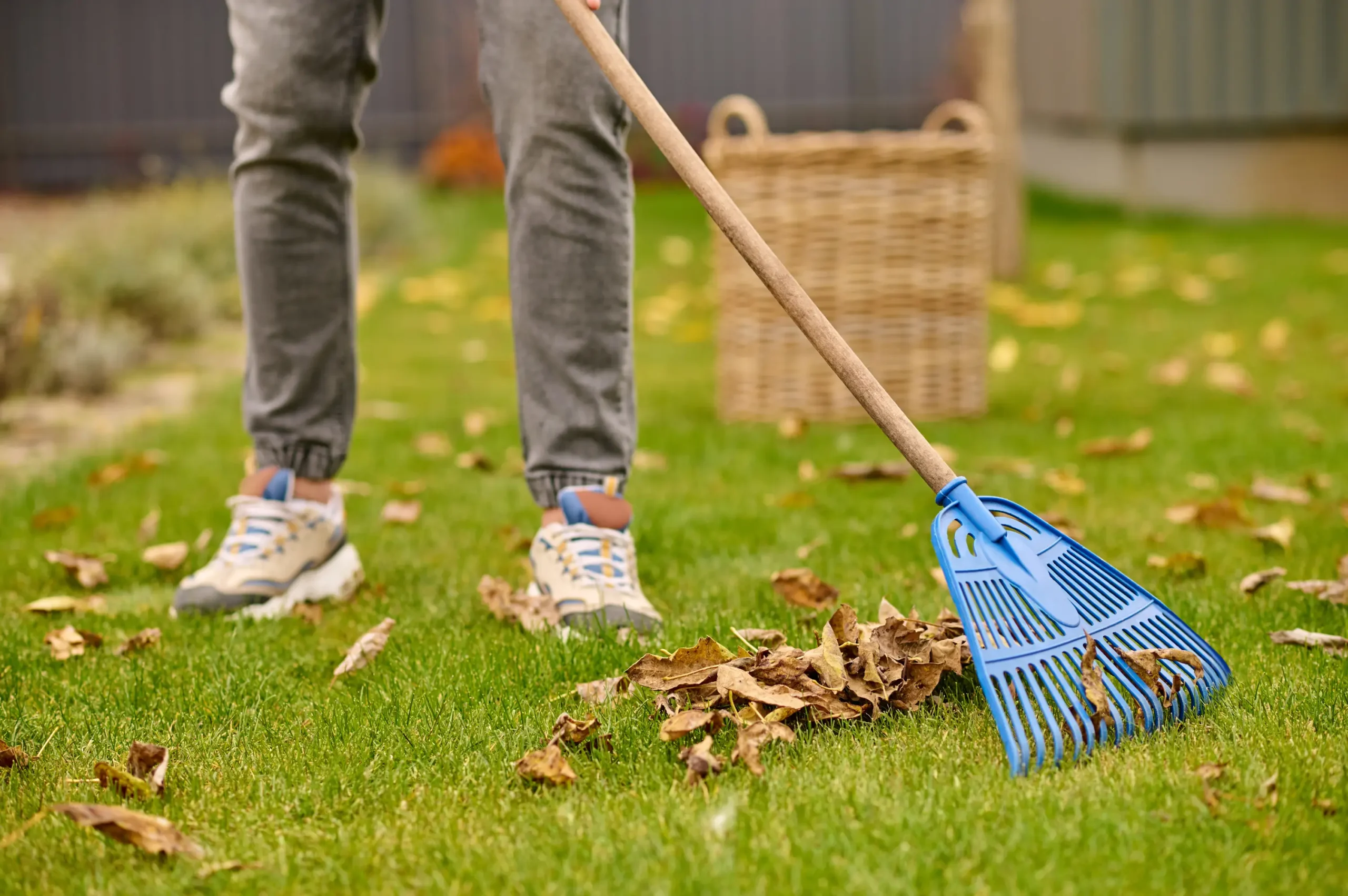 The Best Ways to Clean and Maintain Artificial Grass at Home